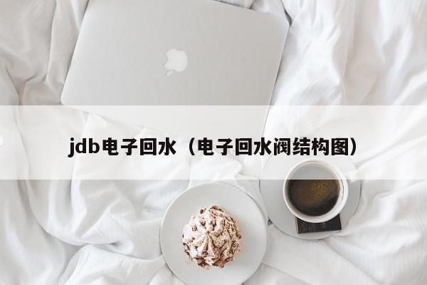 jdb电子回水（电子回水阀结构图）