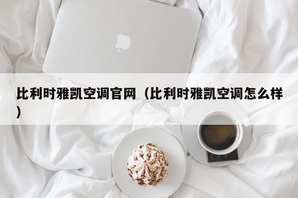 比利时雅凯空调官网(比利时雅凯空调怎么样)
