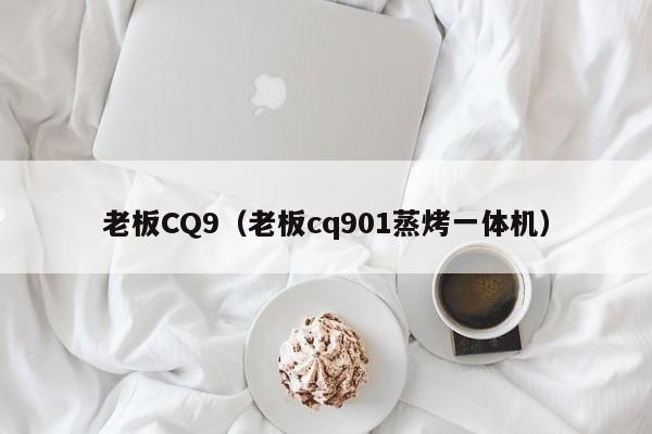 老板CQ9（老板cq901蒸烤一体机）